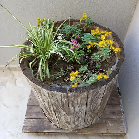 Puzzle Sweet 公寓 *